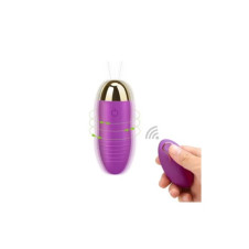 Silicone Egg Vibrator With Remote In Pakistan