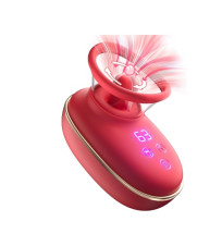 Sucking Vibrator In Pakistan