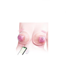 Nipple Cover Vibrating In Pakistan